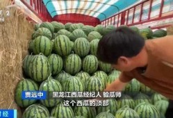 娱乐吃瓜香,吃瓜香背后的精彩故事
