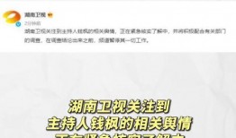 娱乐圈吃瓜表格